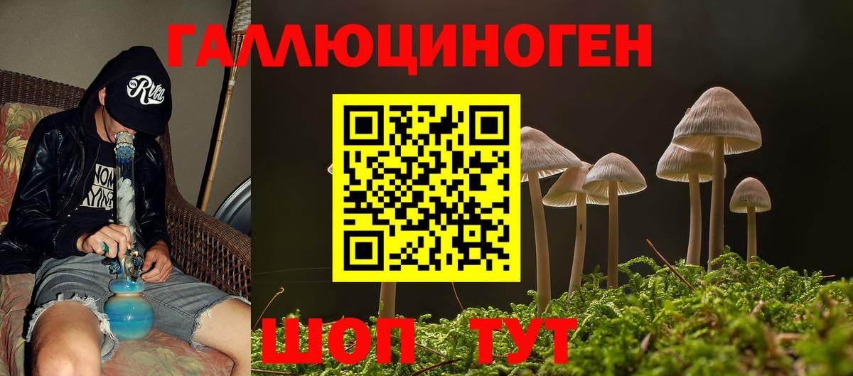 Удомля  Галлюциногенные грибы Psilocybe  Галлюциногенные грибы прущие грибы  Вход с VPN 